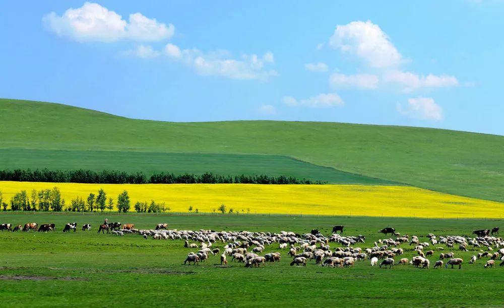 内蒙古,民族文化瑰宝映照下的绿色发展之路