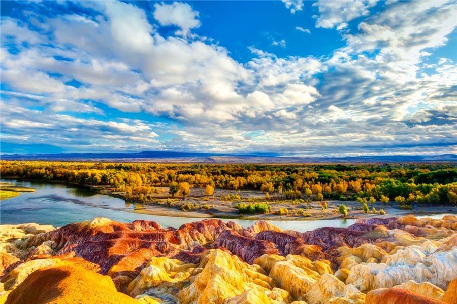 新疆，嘉宾云集，观众热情如火