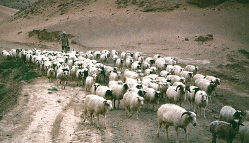 穿越宁夏,怀古之旅的时空漫步