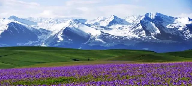 探寻新疆,美丽神秘的西域秘境🌟