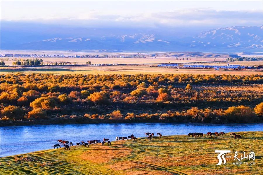探寻新疆,美丽神秘的西域秘境🌟