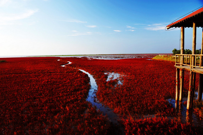 盘锦,亲爱的听众朋友们的故事与声音