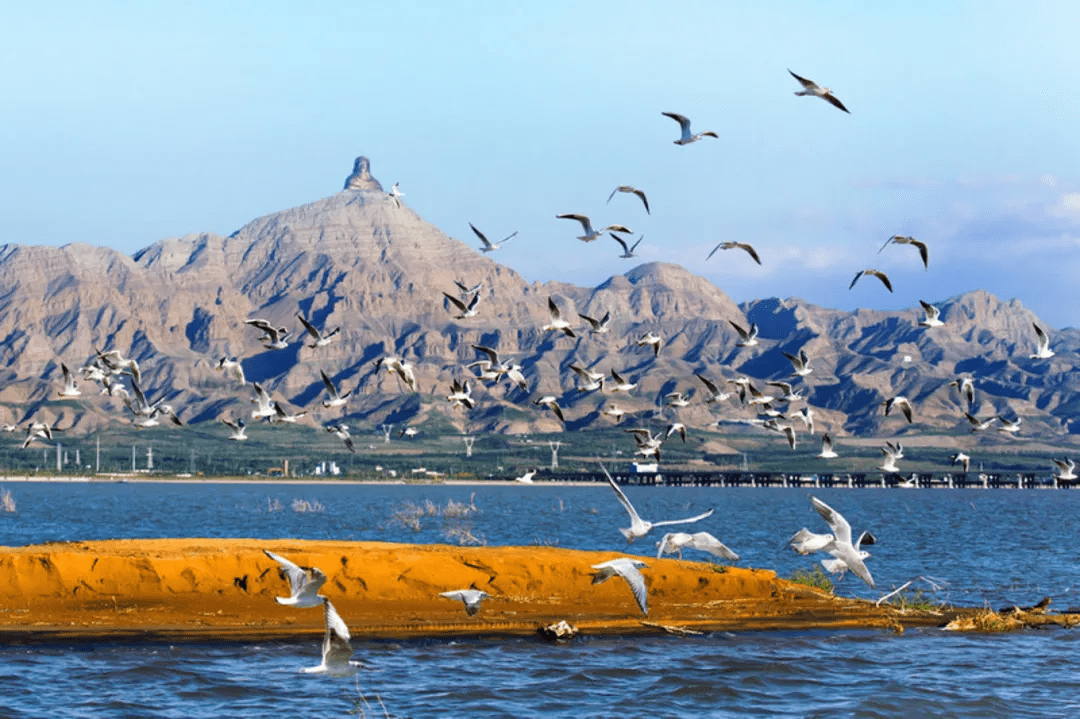 乌海,内蒙古璀璨的明珠之城